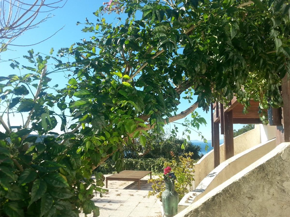 Aparthotel La Coccinelle Île du Levant Exteriér fotografie
